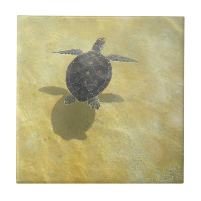Schildkröte-Fliese Fliese (Vorderseite)