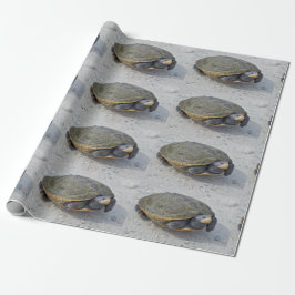 Schildkröte-Foto Geschenkpapier