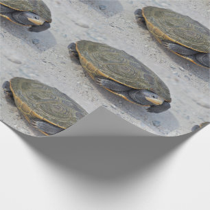 Schildkröte-Foto Geschenkpapier