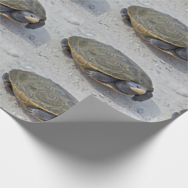 Schildkröte-Foto Geschenkpapier (Ecke)