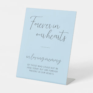 Schildkröte für Erinnerungsspeicher Sockelschild