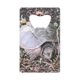 Schildkröte Geldbeutel Flaschenöffner