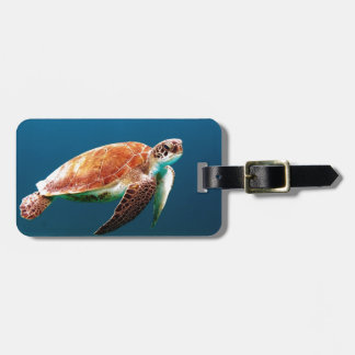 Schildkröte Gepäckanhänger