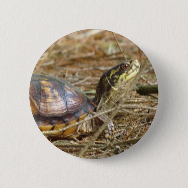 Schildkröte - Hals aus Button (Vorderseite)