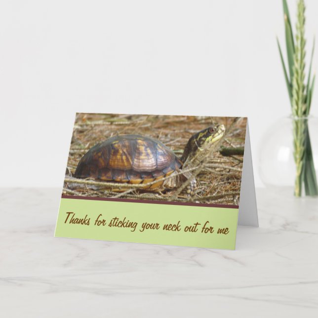 Schildkröte - Hals aus Karte (Vorderseite)
