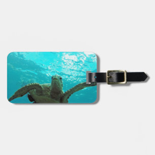 Schildkröte Hawaiis Honu Gepäckanhänger