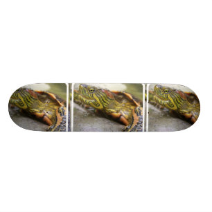 Schildkröte-Identifizierungs-Skateboard Skateboard
