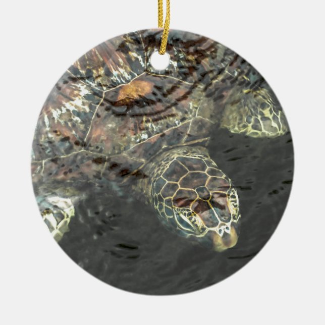 Schildkröte im Wasser Keramik Ornament (Vorne)