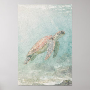 Schildkröte in blassblau-grünem Küstenwasser Poster