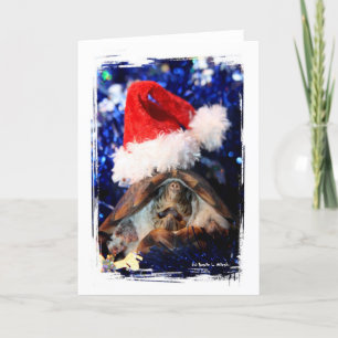 Schildkröte in der Weihnachtsansicht - Weihnachtsm Feiertagskarte