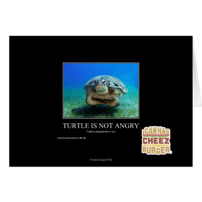 Schildkröte ist nicht wütend (Vorderseite (Horizontal))