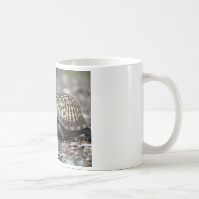 Schildkröte Kaffeetasse (Rechts)