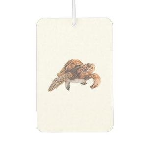 Schildkröte Kopie Kopie Kopie Kopie Kopie Kopie Ko Autolufterfrischer