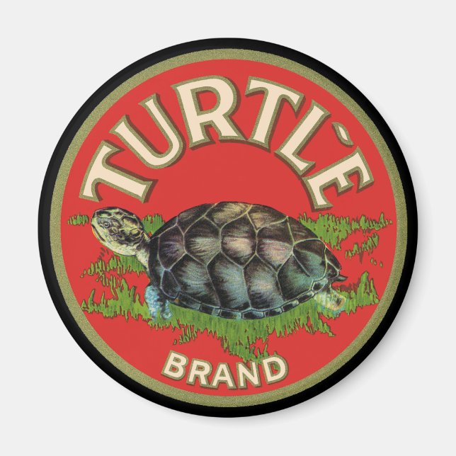 Schildkröte Magnet (Vorne)