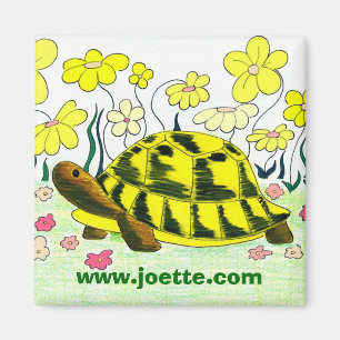 Schildkröte-Magnet Magnet