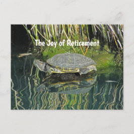Schildkröte mit Wasserreflektion Postkarte