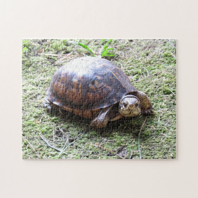 Schildkröte - moosiger Weg Puzzle (Horizontal)
