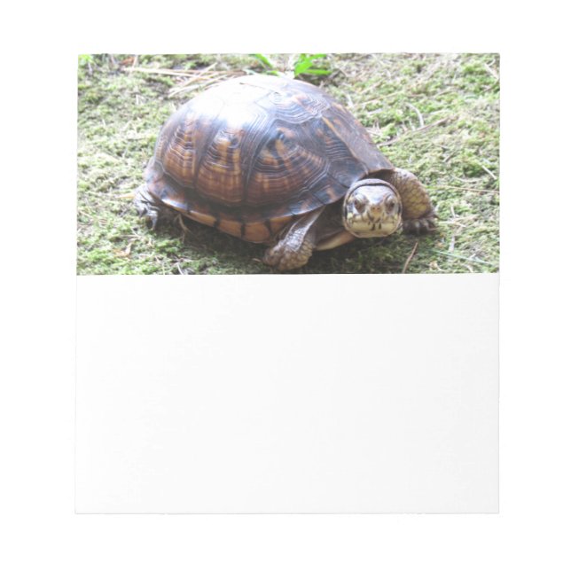 Schildkröte - Mossy Path Notizblock (Vorderseite)