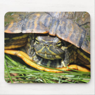 Schildkröte Mousepad