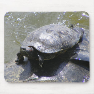Schildkröte Mousepad