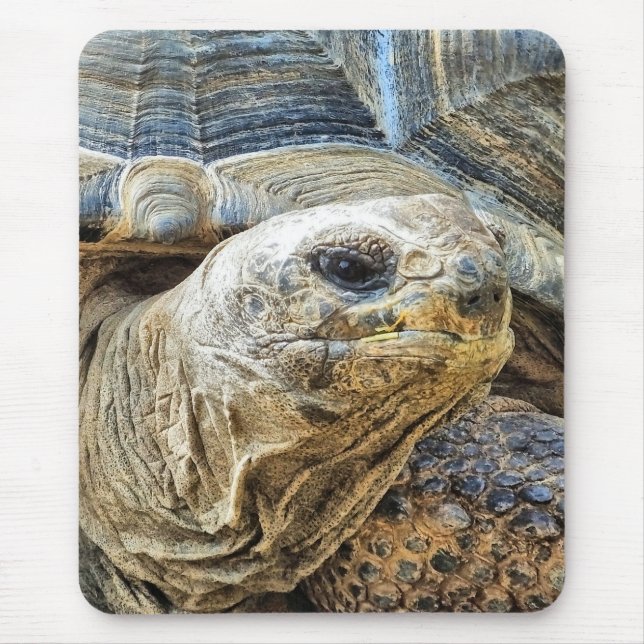 SCHILDKRÖTE MOUSEPAD (Vorne)