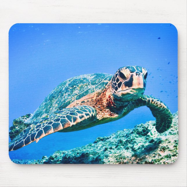 Schildkröte Mousepad (Vorne)