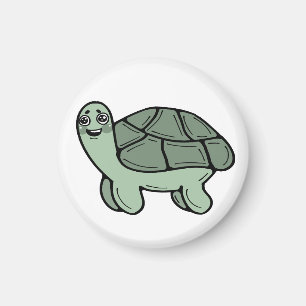 Schildkröte, Natur, Schildkröte Magnet