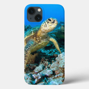 Schildkröte-Paare Case-Mate iPhone Hülle