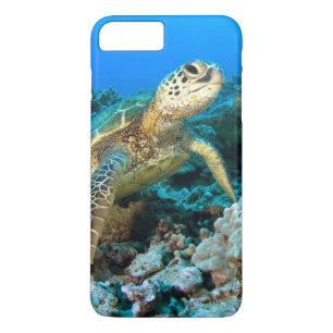 Schildkröte-Paare Case-Mate iPhone Hülle