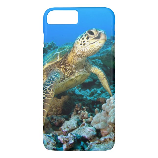 Schildkröte-Paare Case-Mate iPhone Hülle (Rückseite)