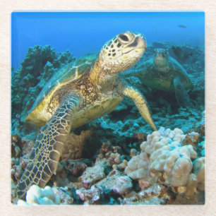 Schildkröte-Paare Glasuntersetzer