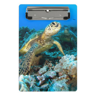 Schildkröte-Paare Mini Klemmbrett