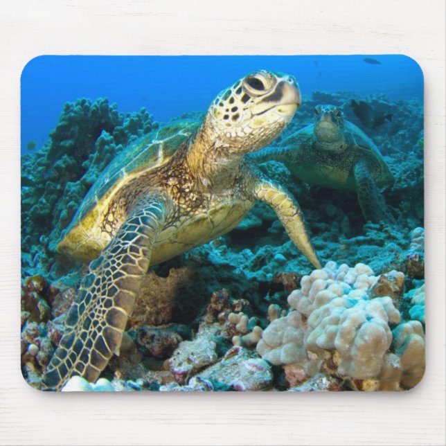 Schildkröte-Paare Mousepad (Vorne)