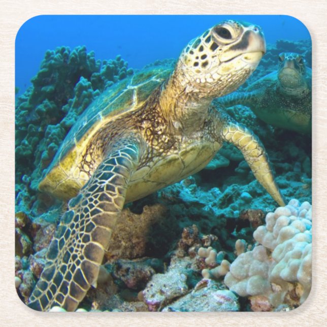 Schildkröte-Paare Rechteckiger Pappuntersetzer (Vorderseite)