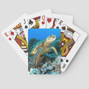 Schildkröte-Paare Spielkarten
