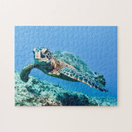 Schildkröte Puzzle