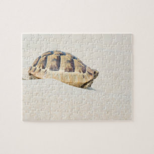 Schildkröte Puzzle