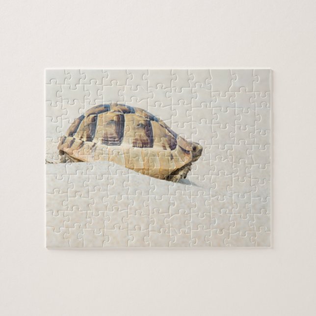Schildkröte Puzzle (Horizontal)