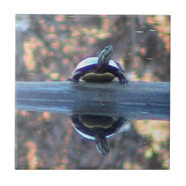 Schildkröte reflektierte dekorative Fliese