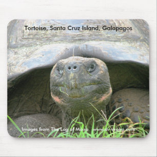 Schildkröte, Santa- Cruzinsel, Galapagos Mousepad