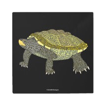 Schildkröte (schwarz) - Metalldruck