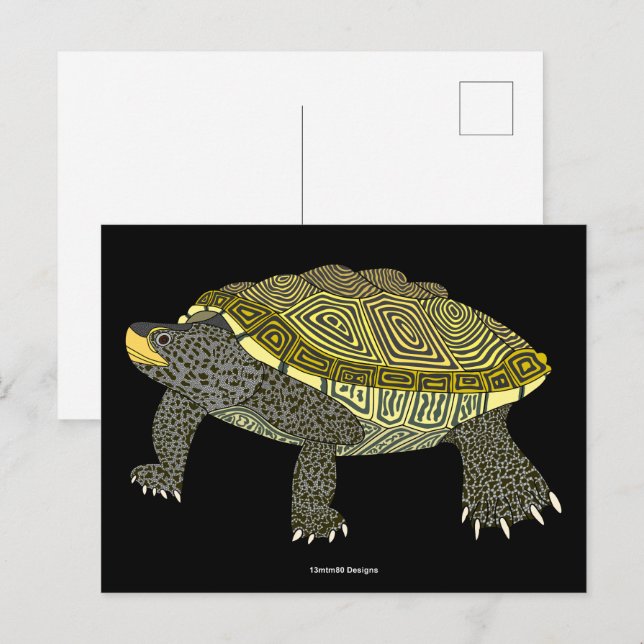 Schildkröte (schwarz) - Postkarte (Vorne/Hinten)