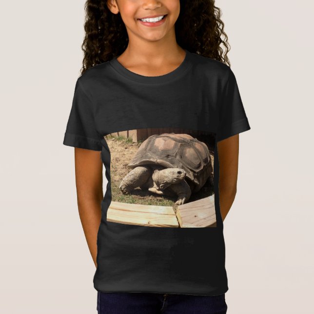 Schildkröte-Shirt T-Shirt (Vorderseite)
