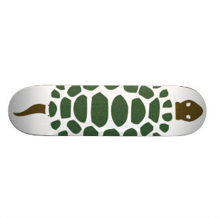 Schildkröte Skateboard