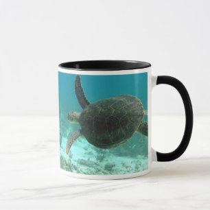 Schildkröte Tasse