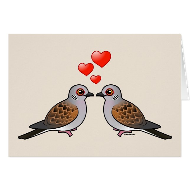 Schildkröte-Tauben in der Liebe (Vorderseite (Horizontal))