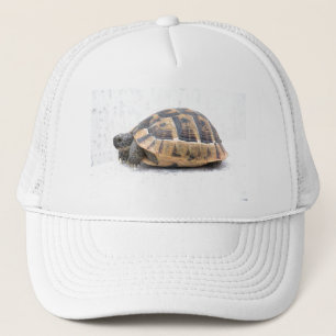 Schildkröte Truckerkappe
