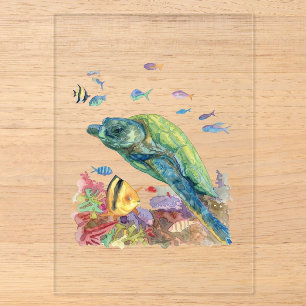 Schildkröte und Fische im Meer Acryleinladungen