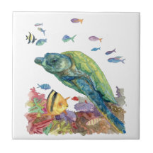 Schildkröte und Fische im Meer