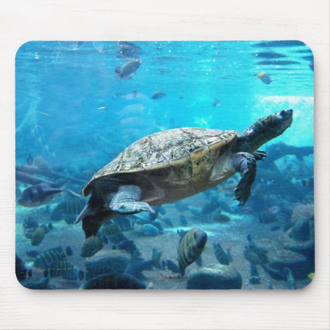 Schildkröte und Fische Mousepad (Vorne)
